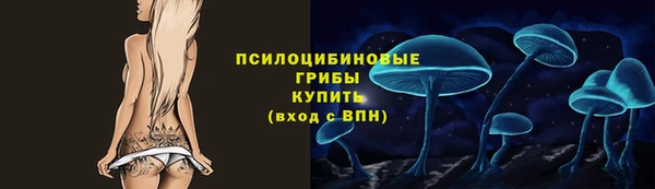 прущие крисы Абаза