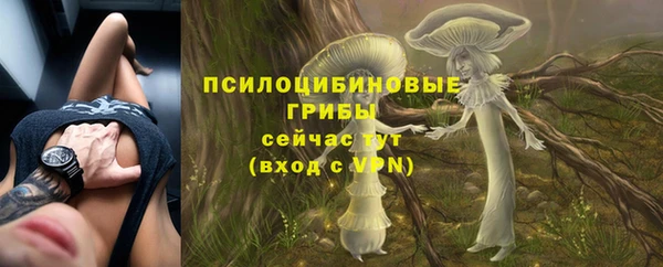 прущие крисы Абаза