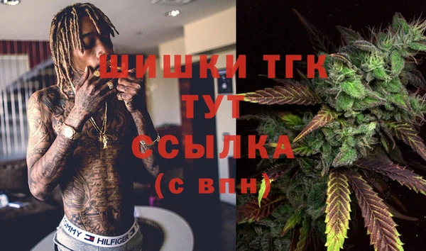 стаф Алексин